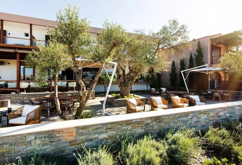 ホテル Ayia Marina Suites