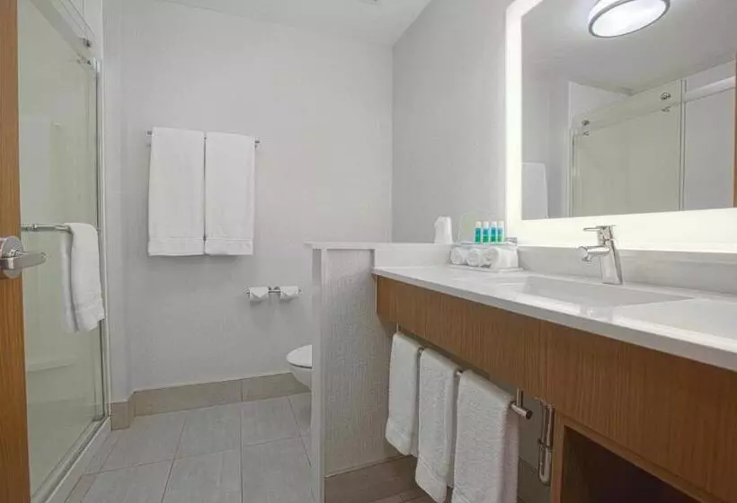 هتل Holiday Inn Express & Suites Boise Airport, An Ihg