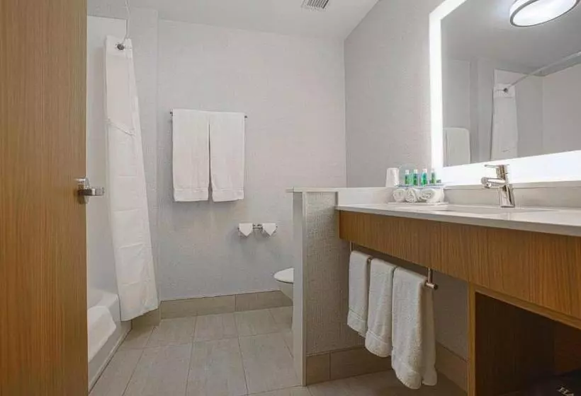 هتل Holiday Inn Express & Suites Boise Airport, An Ihg