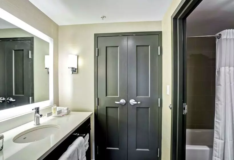 酒店 Homewood Suites By Hilton Boston Brooklinelongwood Medical