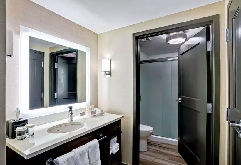 酒店 Homewood Suites By Hilton Boston Brooklinelongwood Medical