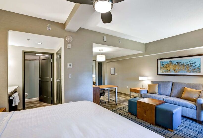 酒店 Homewood Suites By Hilton Boston Brooklinelongwood Medical