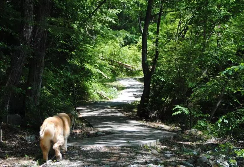 هتل Oyado Ichifuji