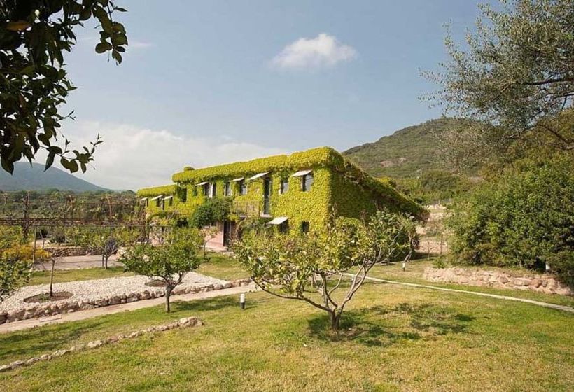 L Isola Di Rosa   Relais & Hotel Di Charme