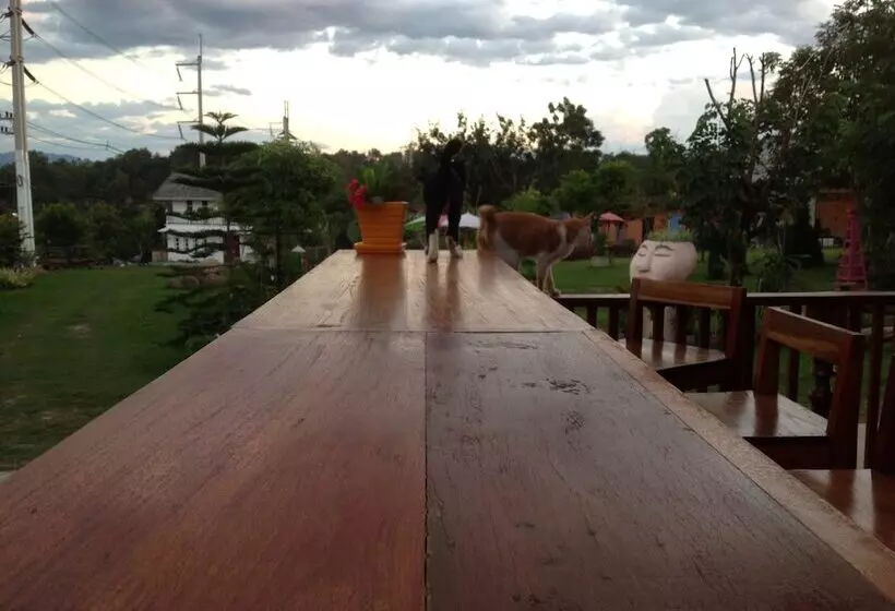 هتل Pai Yard Guest House