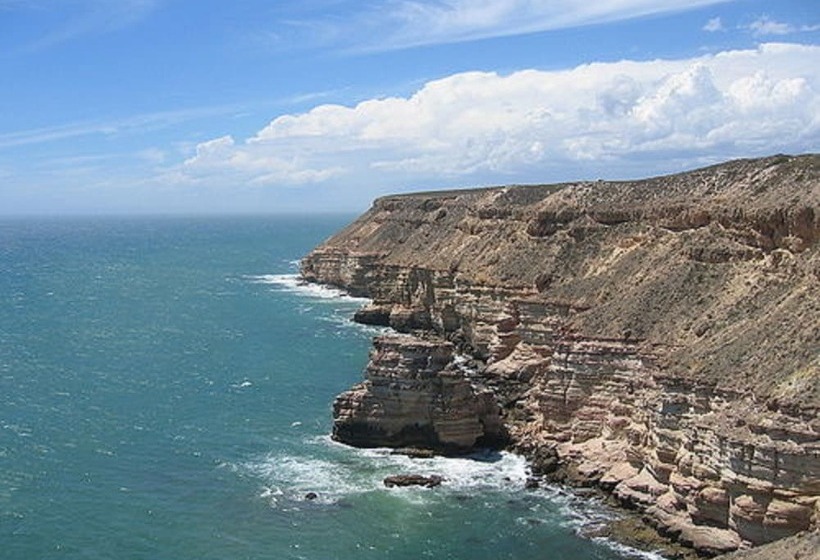 فندق Pelican S Nest