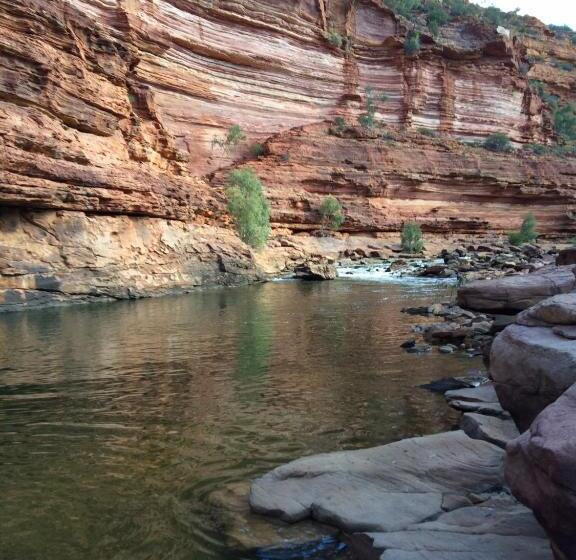 فندق Pelican S Nest