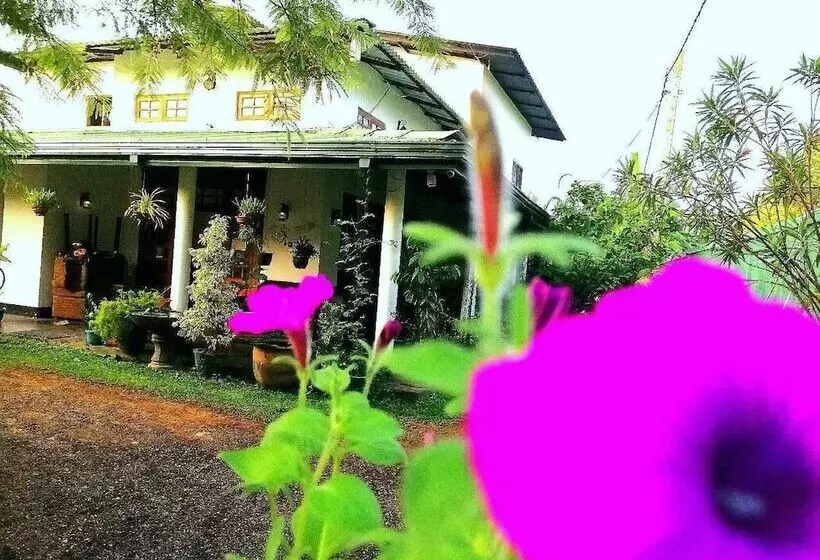 ペンション White Guest