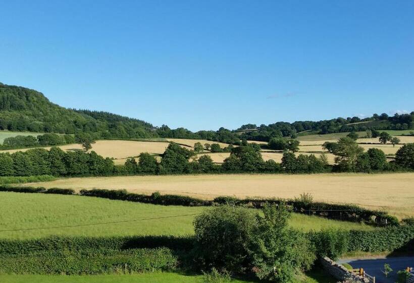 مبيت وإفطار Upper Letton Farmhouse