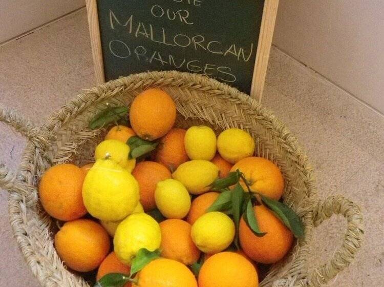 Can Blau Homes Turismo De Interior