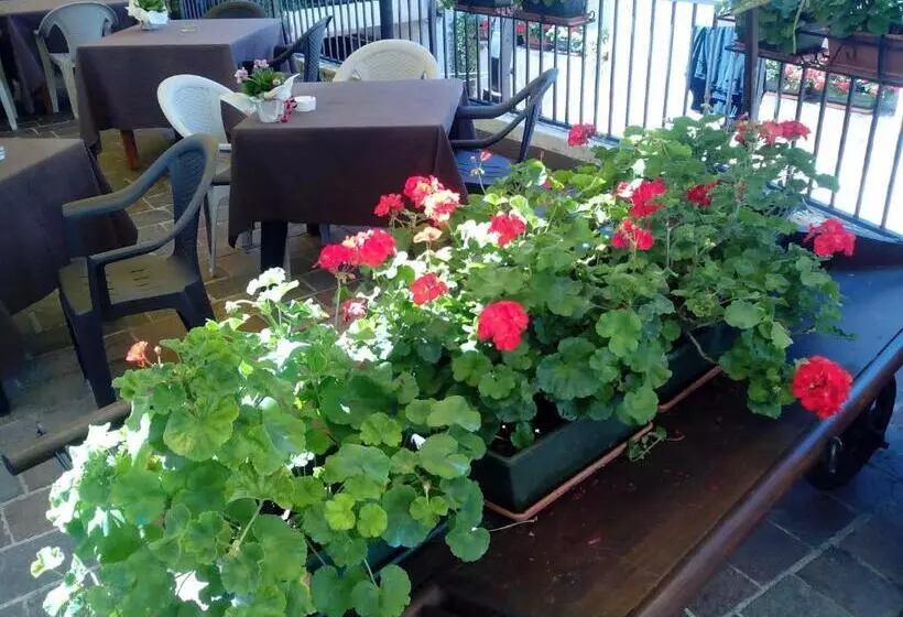 בית מלון כפרי Speranza