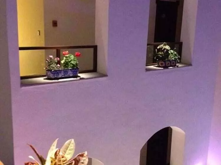 호텔 Boutique Xelhua