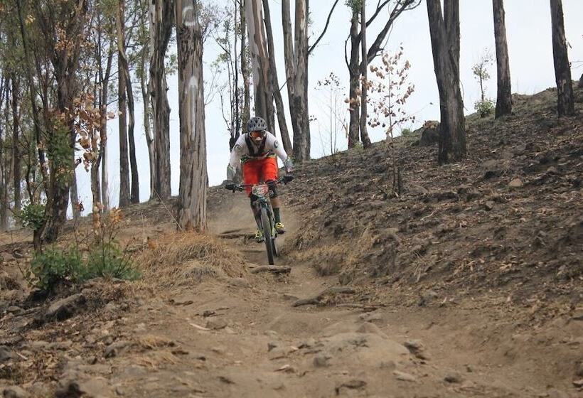 ホテル Boutique Xelhua