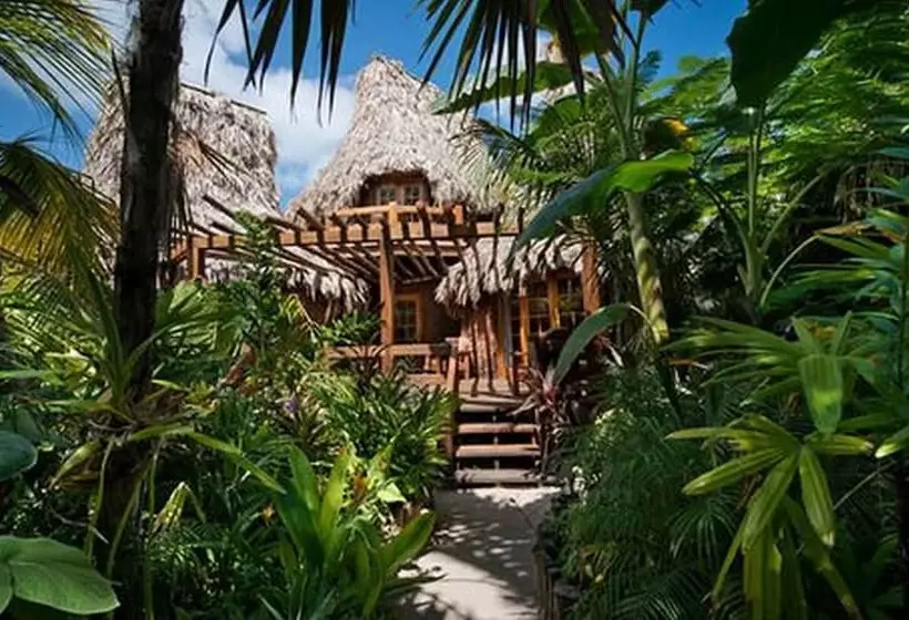 هتل Ramon's Village Resort