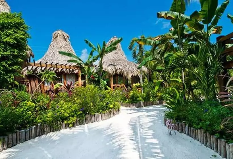 هتل Ramon's Village Resort