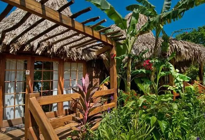 هتل Ramon's Village Resort