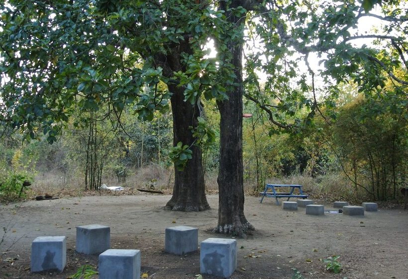 酒店 Tiger N Woods Resort