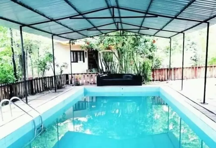 Hotelli Tiger N Woods Resort