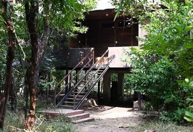 Hotelli Tiger N Woods Resort