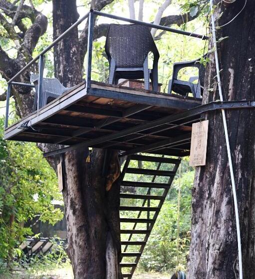 酒店 Tiger N Woods Resort