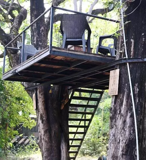 Hotelli Tiger N Woods Resort