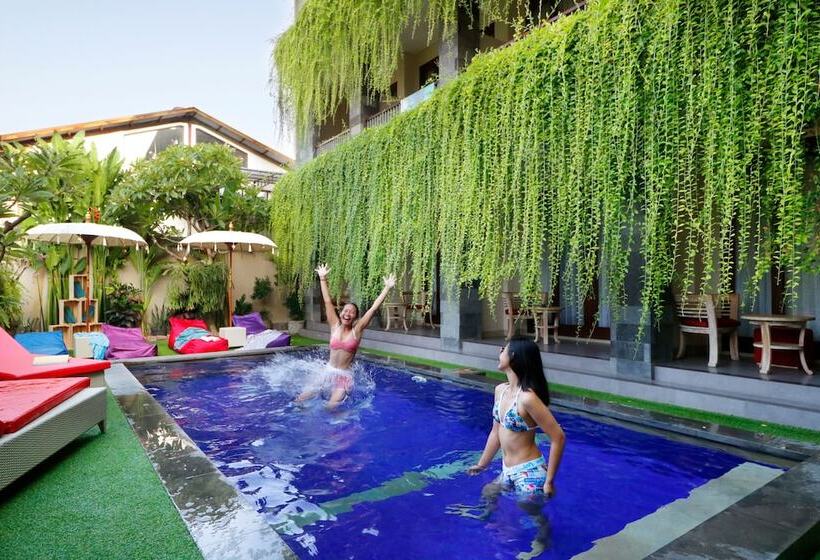 בית מלון כפרי Vansari