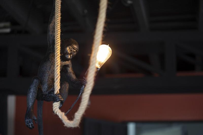 فندق Villa San Ignacio