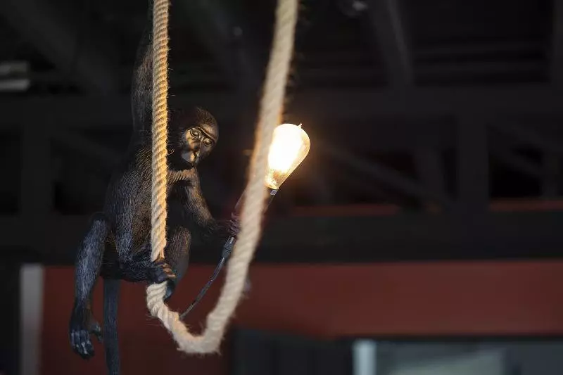 هتل Villa San Ignacio