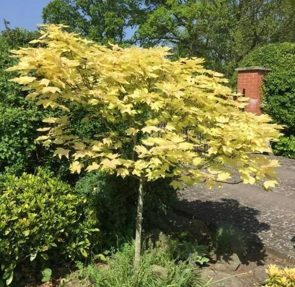 Orchard Side Bed And Breakfast