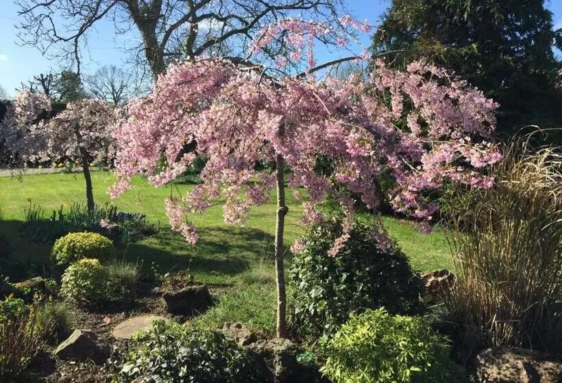 Orchard Side Bed And Breakfast