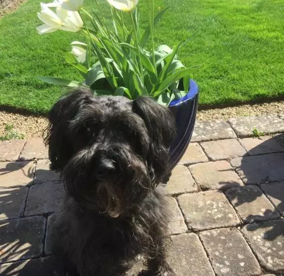 Orchard Side Bed And Breakfast