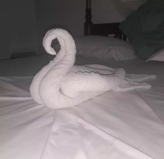 بنسيون Little Paradise