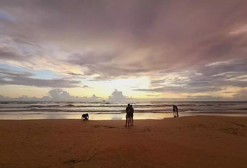 بنسيون Little Paradise