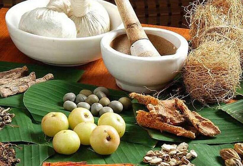 Pension (Hôtel basse catégorie) Little Paradise