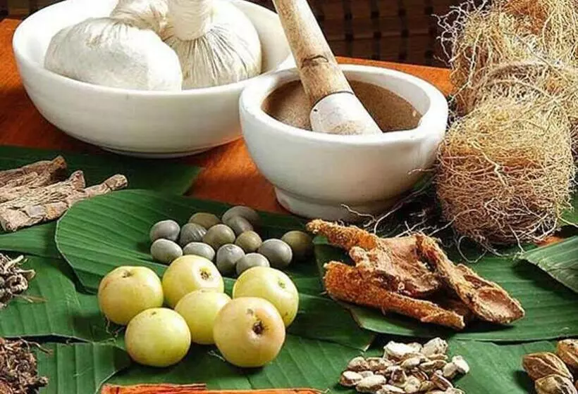 بنسيون Little Paradise