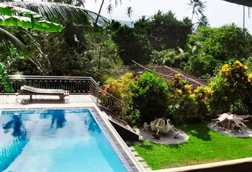 بنسيون Little Paradise