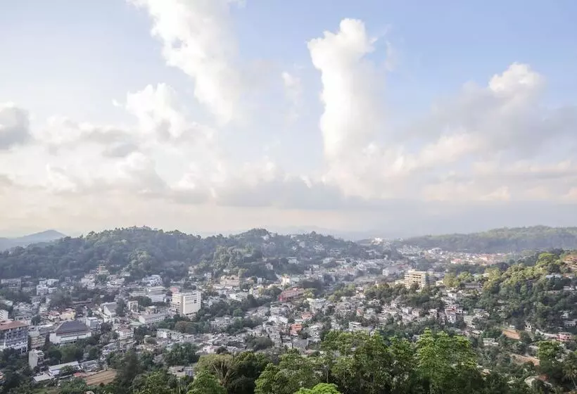 ベッドアンドブレックファースト The Summit