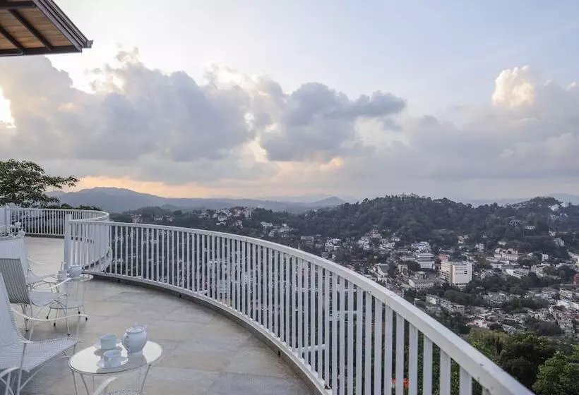 ベッドアンドブレックファースト The Summit