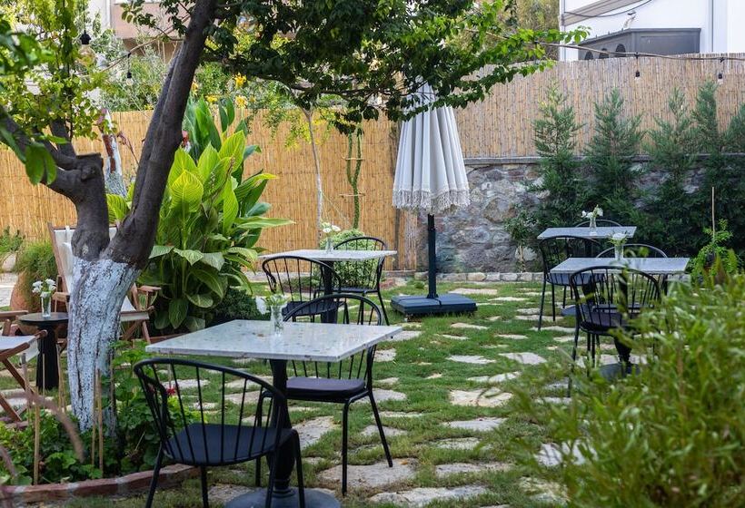 ペンション Molo Urla