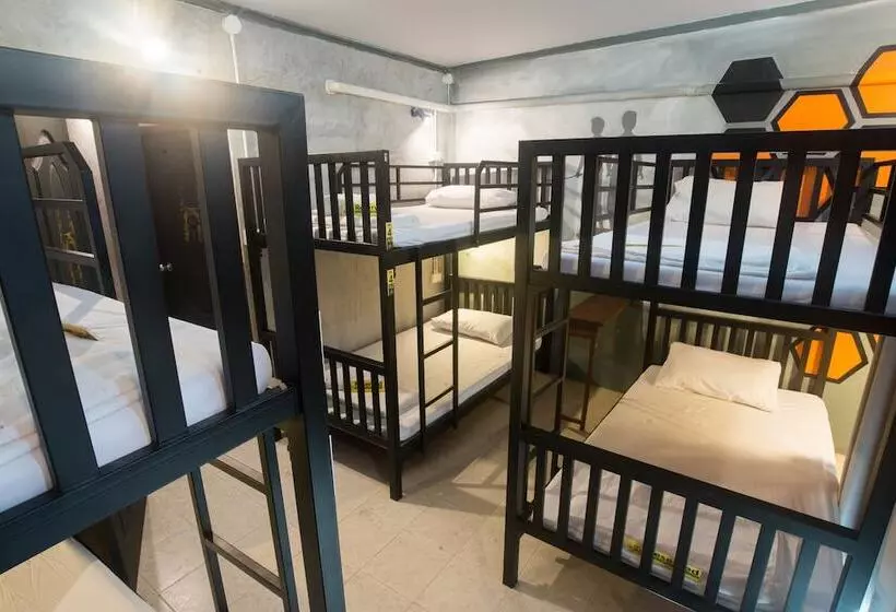 Beehive Phuket Oldtown Hostel