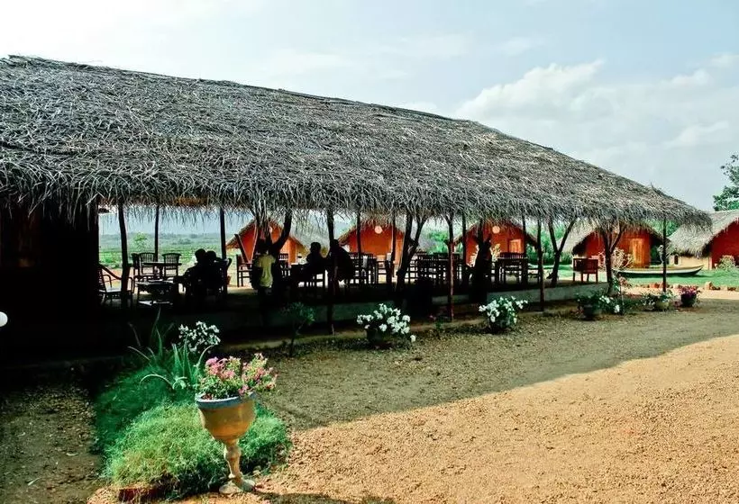 هتل Gagabees Yala