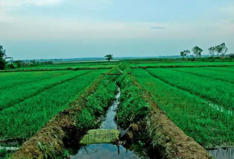 هتل Gagabees Yala