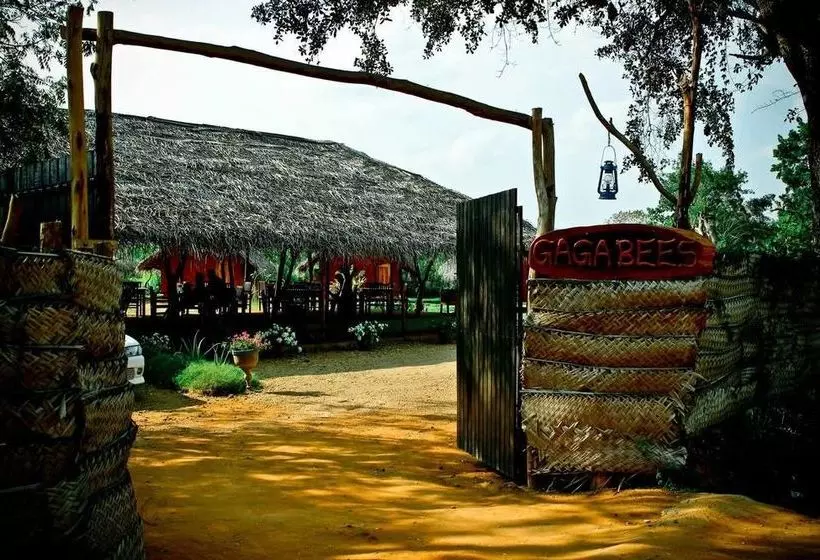 هتل Gagabees Yala
