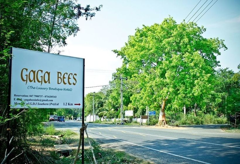 酒店 Gagabees Yala