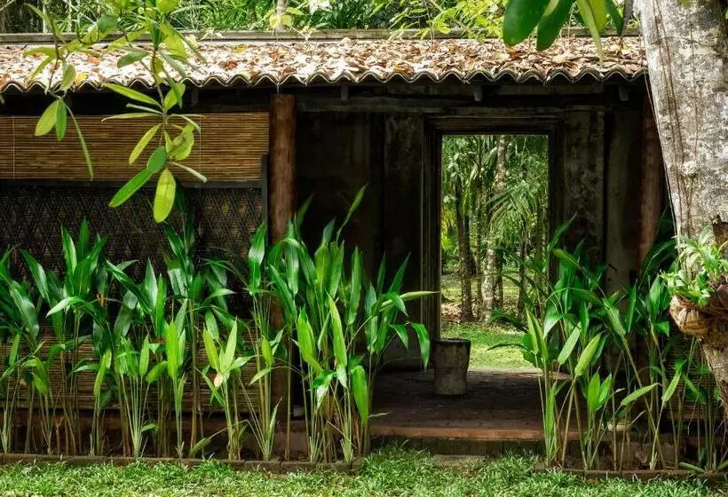 Hotell Nisala Arana Boutique