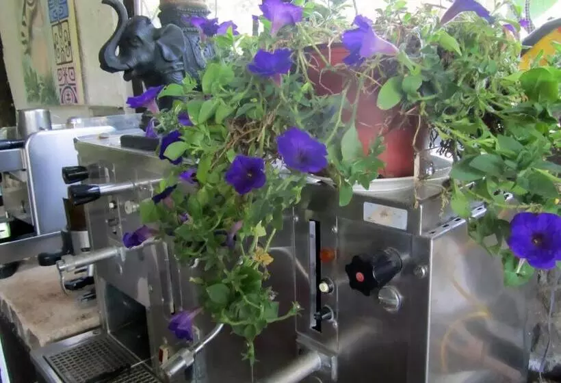 فندق Spirit Of Jungle Lodge