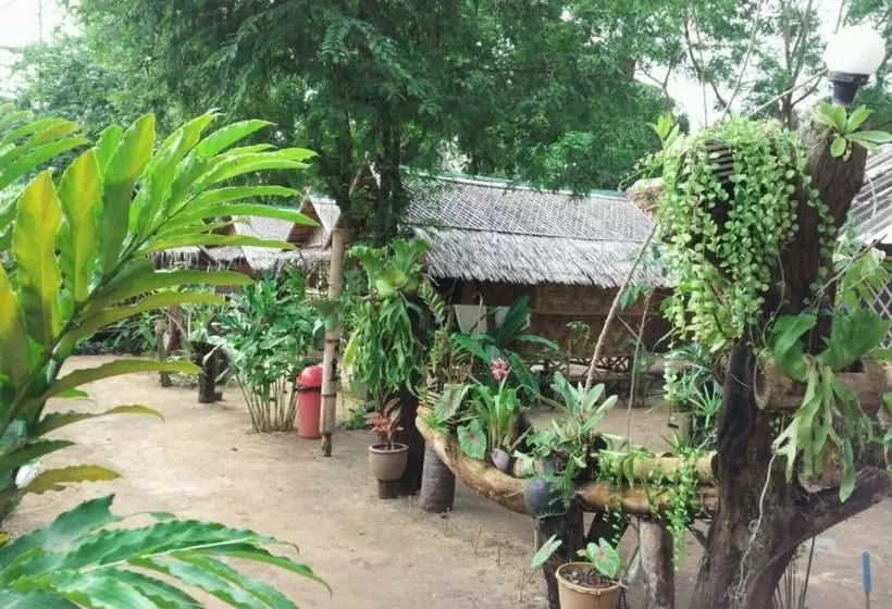 Jackie Bamboo House - Hostel