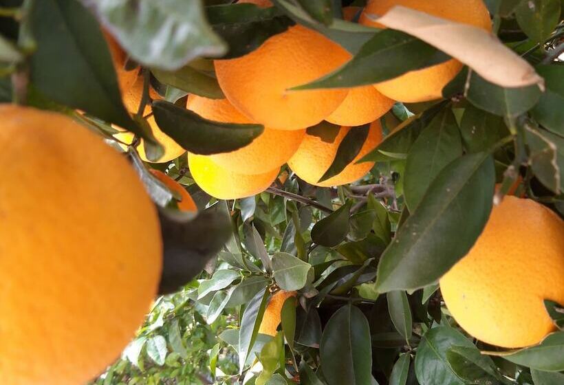 ペンション Swellendam Country Lodge  Guest House  B&b