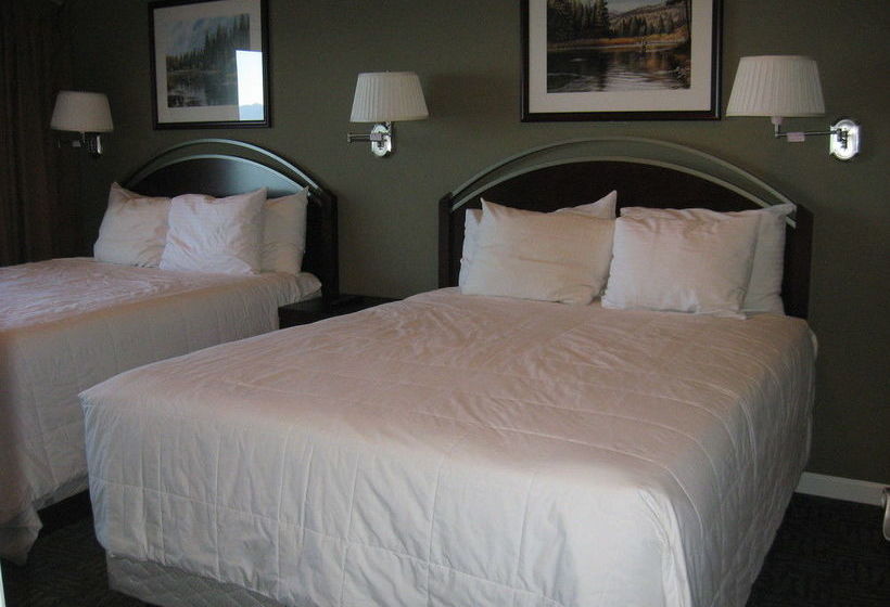 فندق Beachcomber Inn