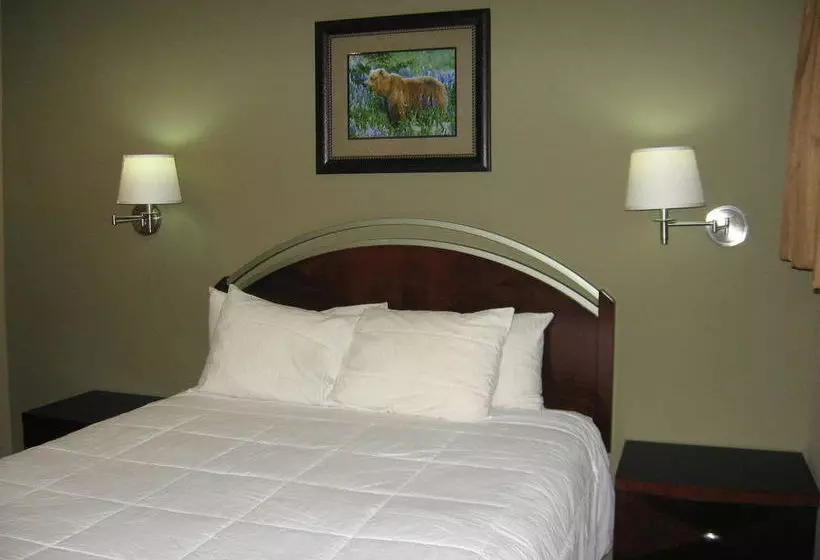 Hotel Beachcomber Inn